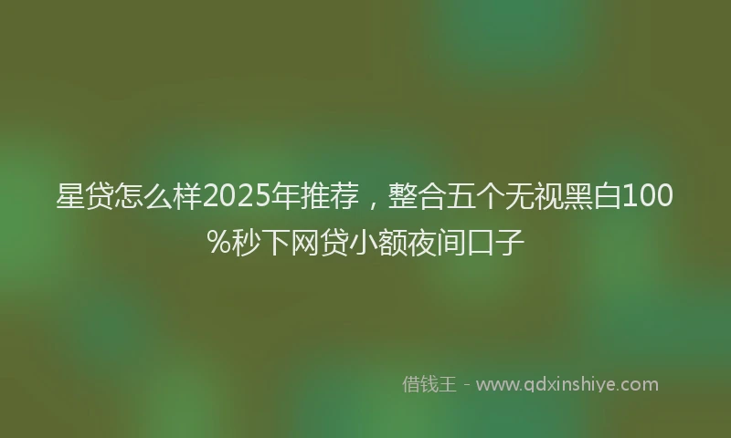 星贷怎么样2025年推荐，整合五个无视黑白100%秒下网贷小额夜间口子