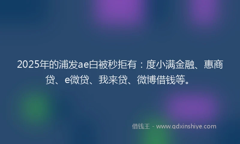 2025年的浦发ae白被秒拒有：度小满金融、惠商贷、e微贷、我来贷、微博借钱等。