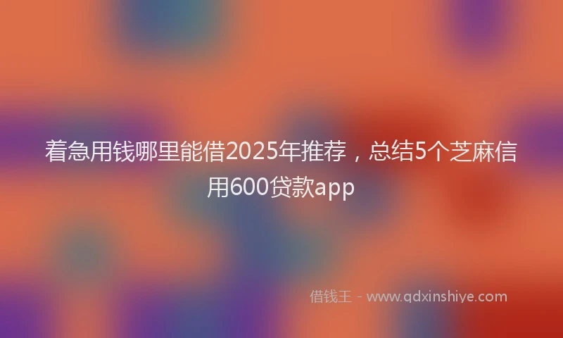着急用钱哪里能借2025年推荐，总结5个芝麻信用600贷款app