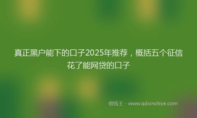 真正黑户能下的口子2025年推荐，概括五个征信花了能网贷的口子