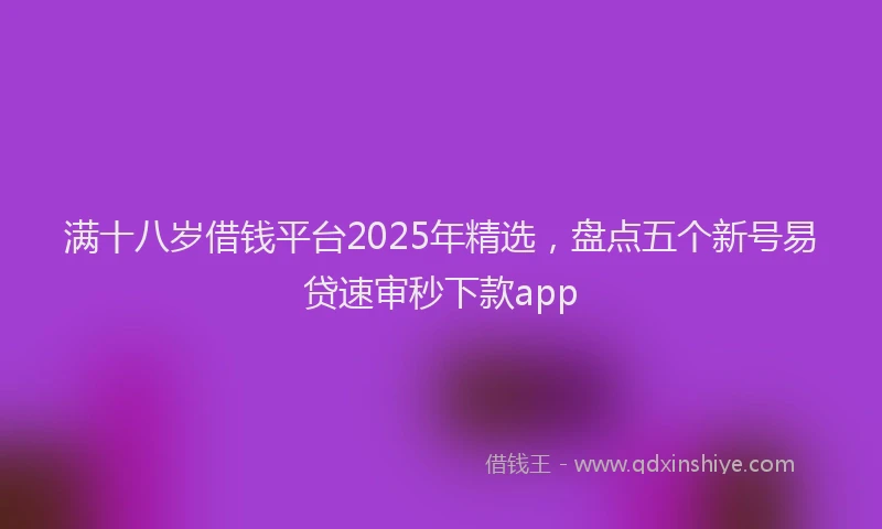 满十八岁借钱平台2025年精选，盘点五个新号易贷速审秒下款app