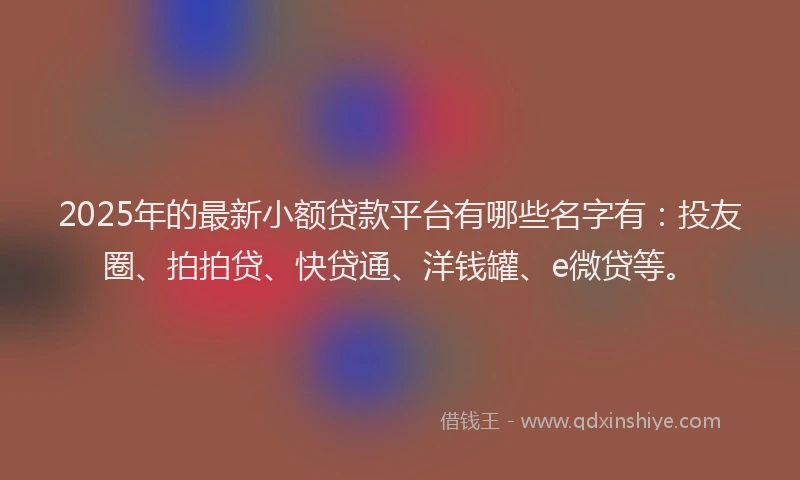 2025年的最新小额贷款平台有哪些名字有：投友圈、拍拍贷、快贷通、洋钱罐、e微贷等。
