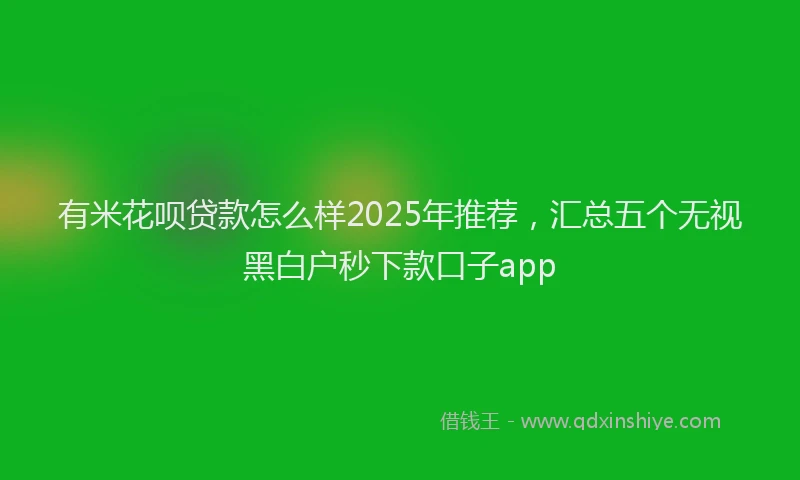 有米花呗贷款怎么样2025年推荐，汇总五个无视黑白户秒下款口子app