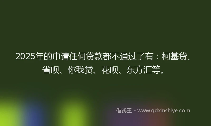 2025年的申请任何贷款都不通过了有：柯基贷、省呗、你我贷、花呗、东方汇等。