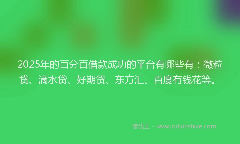 2025年的百分百借款成功的平台有哪些有：微粒贷、滴水贷、好期贷、东方汇、百度有钱花等。