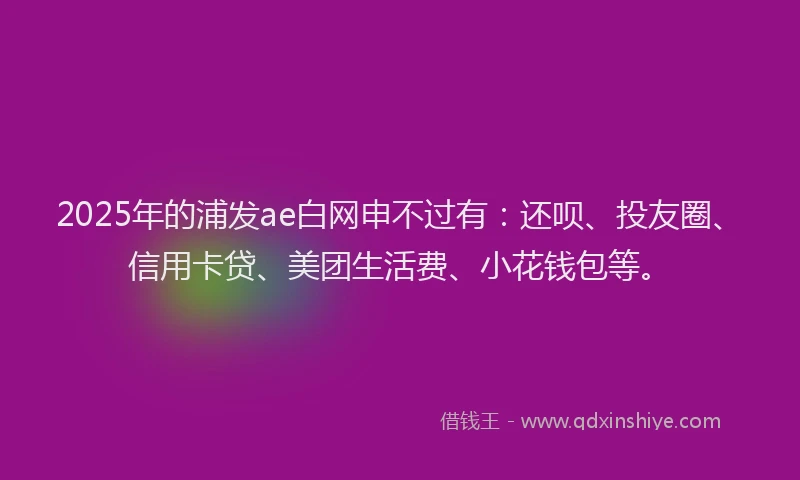 2025年的浦发ae白网申不过有：还呗、投友圈、信用卡贷、美团生活费、小花钱包等。