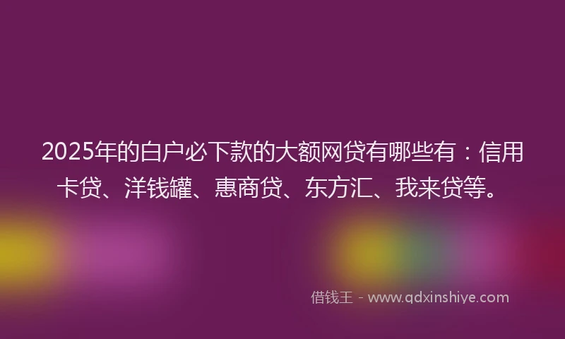 2025年的白户必下款的大额网贷有哪些有：信用卡贷、洋钱罐、惠商贷、东方汇、我来贷等。