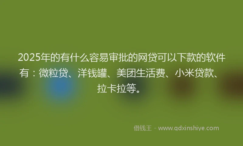 2025年的有什么容易审批的网贷可以下款的软件有：微粒贷、洋钱罐、美团生活费、小米贷款、拉卡拉等。