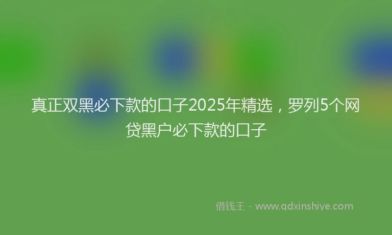 真正双黑必下款的口子2025年精选，罗列5个网贷黑户必下款的口子