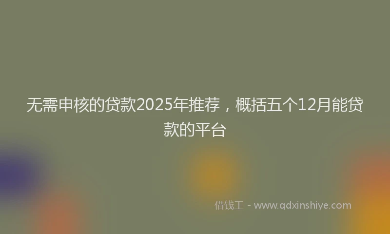 无需申核的贷款2025年推荐，概括五个12月能贷款的平台
