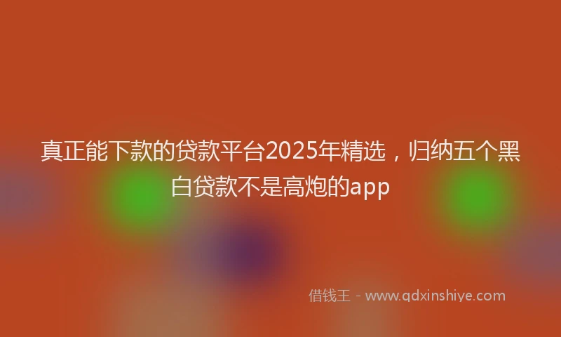 真正能下款的贷款平台2025年精选，归纳五个黑白贷款不是高炮的app