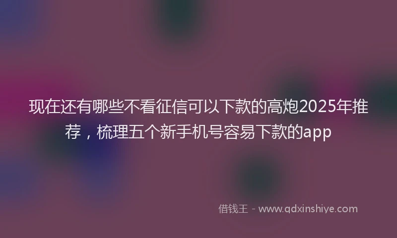 现在还有哪些不看征信可以下款的高炮2025年推荐，梳理五个新手机号容易下款的app