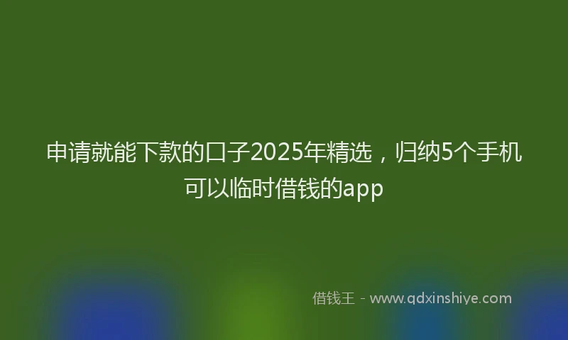 申请就能下款的口子2025年精选，归纳5个手机可以临时借钱的app