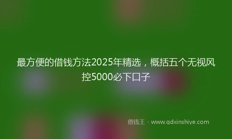 最方便的借钱方法2025年精选，概括五个无视风控5000必下口子