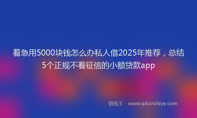 着急用5000块钱怎么办私人借2025年推荐，总结5个正规不看征信的小额贷款app