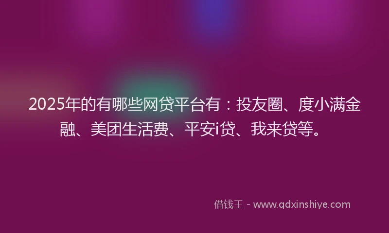 2025年的有哪些网贷平台有：投友圈、度小满金融、美团生活费、平安i贷、我来贷等。
