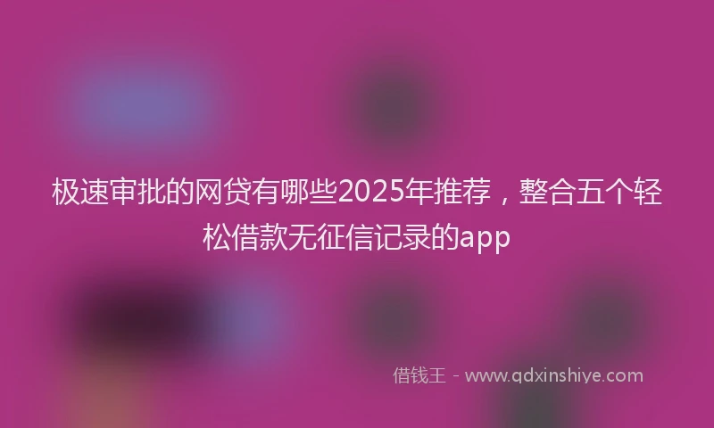 极速审批的网贷有哪些2025年推荐，整合五个轻松借款无征信记录的app