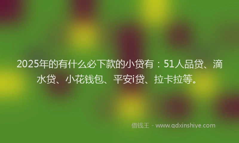 2025年的有什么必下款的小贷有：51人品贷、滴水贷、小花钱包、平安i贷、拉卡拉等。