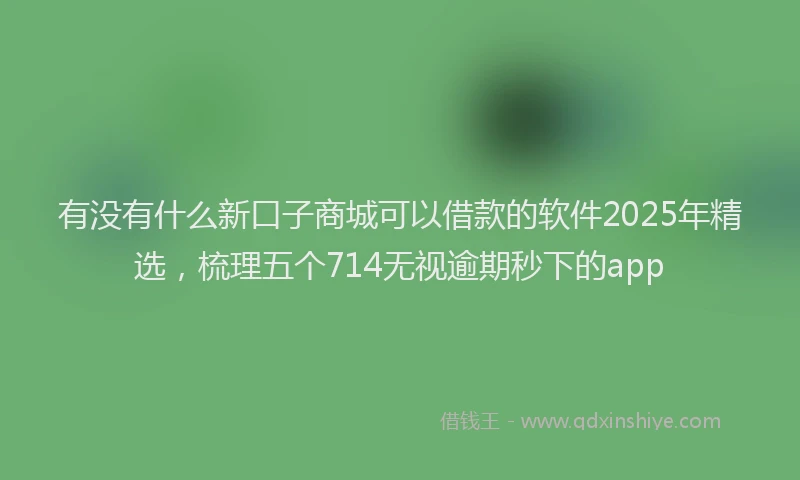 有没有什么新口子商城可以借款的软件2025年精选，梳理五个714无视逾期秒下的app
