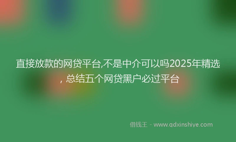 直接放款的网贷平台,不是中介可以吗2025年精选，总结五个网贷黑户必过平台