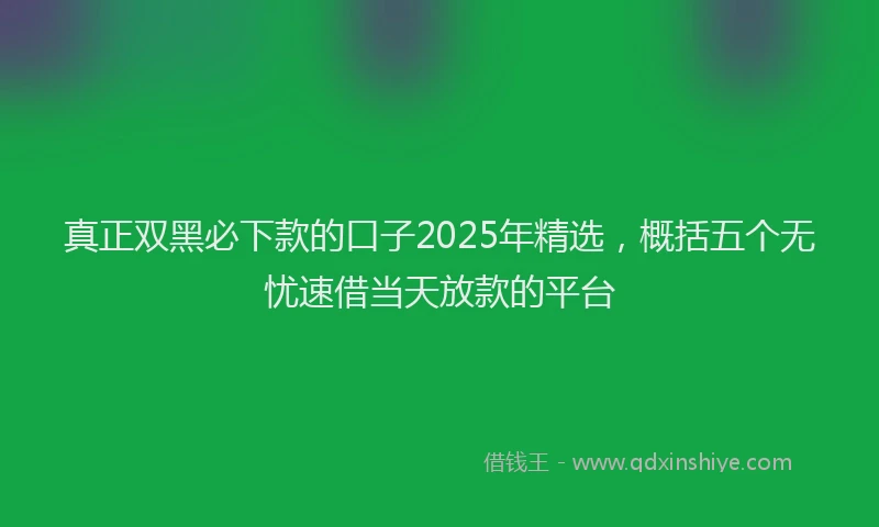 真正双黑必下款的口子2025年精选，概括五个无忧速借当天放款的平台