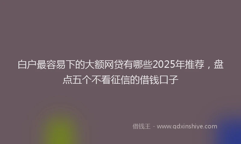 白户最容易下的大额网贷有哪些2025年推荐，盘点五个不看征信的借钱口子