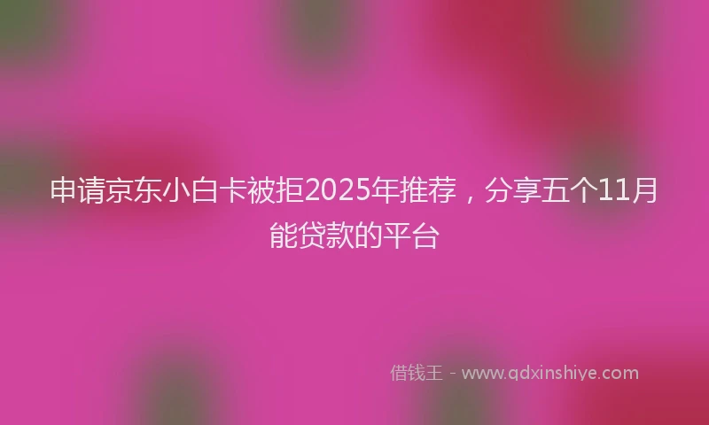 申请京东小白卡被拒2025年推荐，分享五个11月能贷款的平台