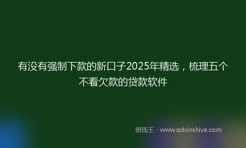有没有强制下款的新口子2025年精选，梳理五个不看欠款的贷款软件