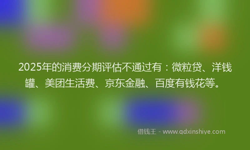2025年的消费分期评估不通过有：微粒贷、洋钱罐、美团生活费、京东金融、百度有钱花等。