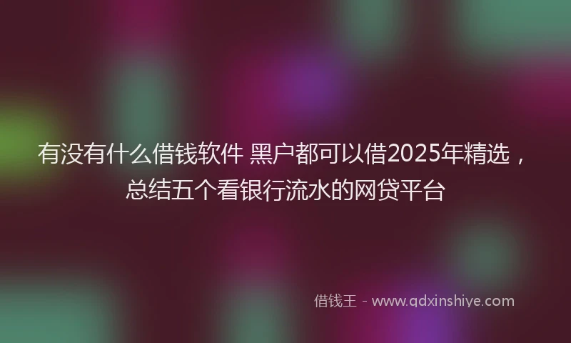 有没有什么借钱软件 黑户都可以借2025年精选，总结五个看银行流水的网贷平台