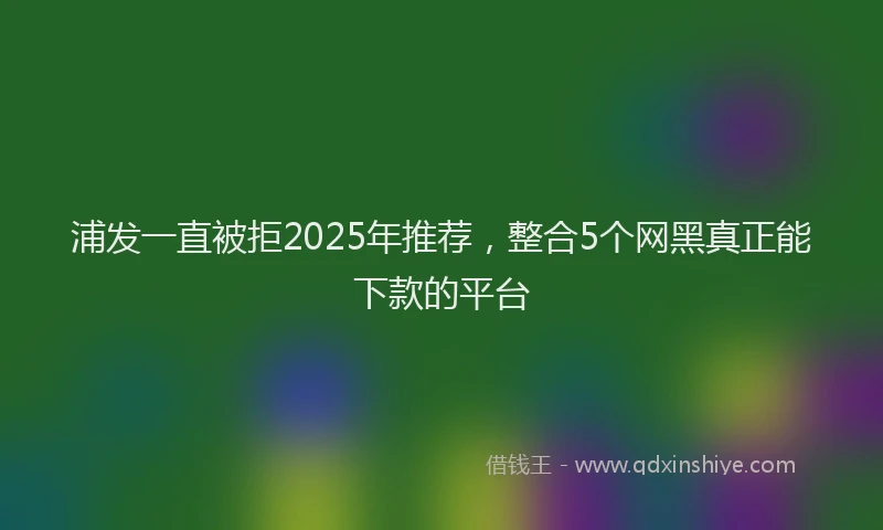 浦发一直被拒2025年推荐，整合5个网黑真正能下款的平台