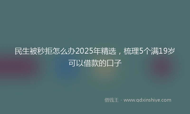 民生被秒拒怎么办2025年精选，梳理5个满19岁可以借款的口子