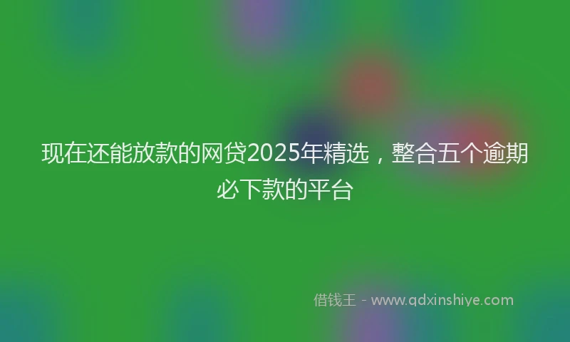 现在还能放款的网贷2025年精选，整合五个逾期必下款的平台