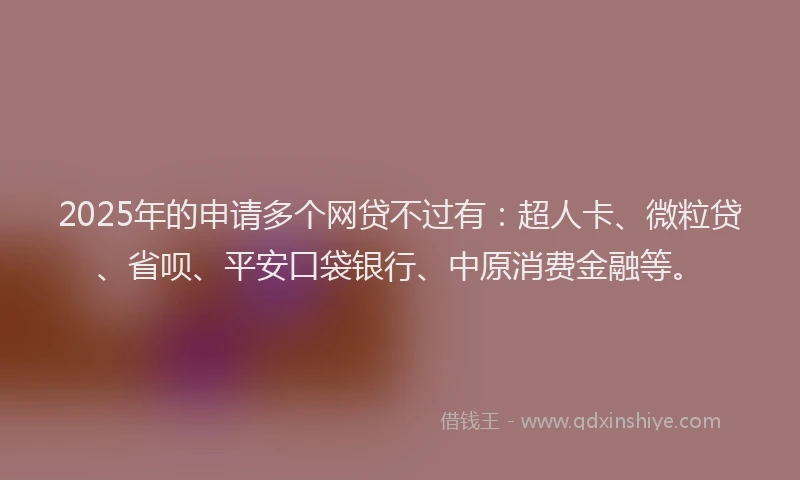 2025年的申请多个网贷不过有：超人卡、微粒贷、省呗、平安口袋银行、中原消费金融等。