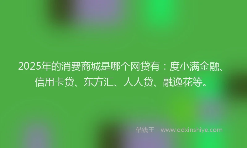 2025年的消费商城是哪个网贷有：度小满金融、信用卡贷、东方汇、人人贷、融逸花等。