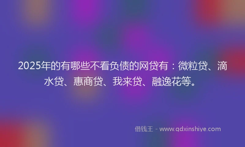 2025年的有哪些不看负债的网贷有：微粒贷、滴水贷、惠商贷、我来贷、融逸花等。