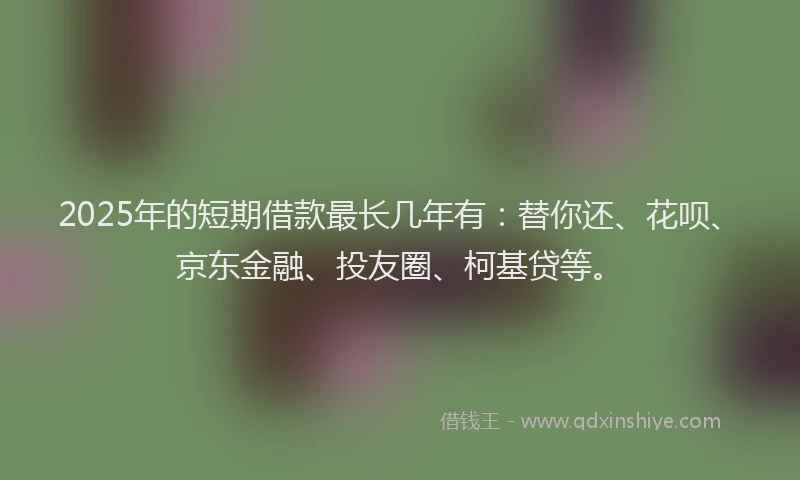 2025年的短期借款最长几年有：替你还、花呗、京东金融、投友圈、柯基贷等。