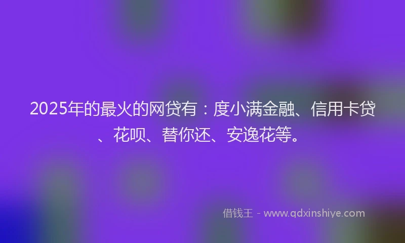 2025年的最火的网贷有：度小满金融、信用卡贷、花呗、替你还、安逸花等。