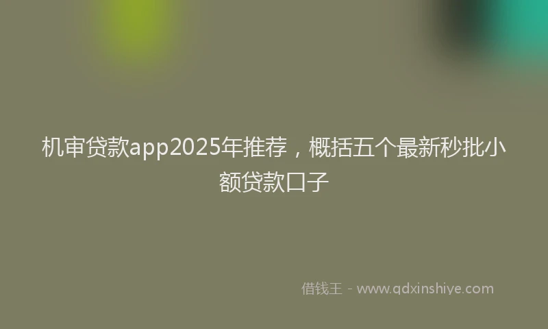机审贷款app2025年推荐，概括五个最新秒批小额贷款口子