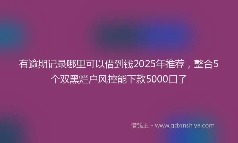 有逾期记录哪里可以借到钱2025年推荐，整合5个双黑烂户风控能下款5000口子