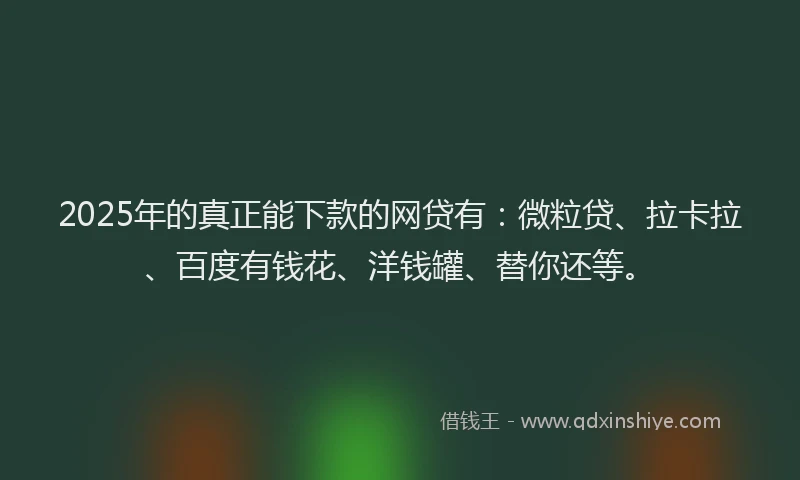 2025年的真正能下款的网贷有：微粒贷、拉卡拉、百度有钱花、洋钱罐、替你还等。