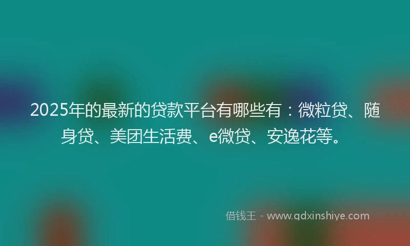 2025年的最新的贷款平台有哪些有：微粒贷、随身贷、美团生活费、e微贷、安逸花等。