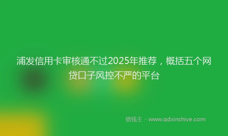 浦发信用卡审核通不过2025年推荐，概括五个网贷口子风控不严的平台