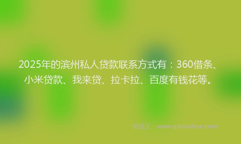 2025年的滨州私人贷款联系方式有：360借条、小米贷款、我来贷、拉卡拉、百度有钱花等。