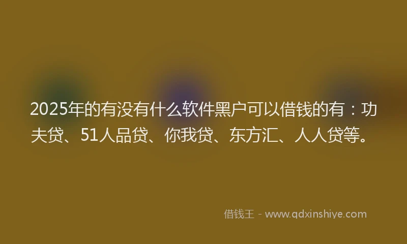 2025年的有没有什么软件黑户可以借钱的有：功夫贷、51人品贷、你我贷、东方汇、人人贷等。