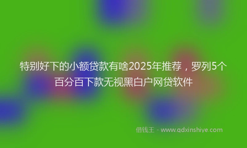 特别好下的小额贷款有啥2025年推荐，罗列5个百分百下款无视黑白户网贷软件