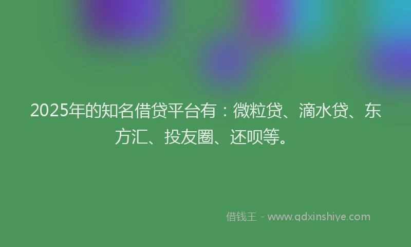 2025年的知名借贷平台有：微粒贷、滴水贷、东方汇、投友圈、还呗等。