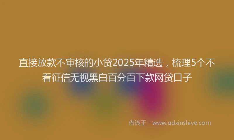 直接放款不审核的小贷2025年精选，梳理5个不看征信无视黑白百分百下款网贷口子