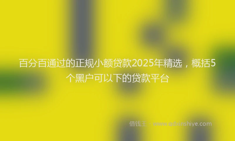 百分百通过的正规小额贷款2025年精选，概括5个黑户可以下的贷款平台