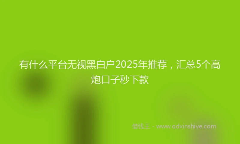 有什么平台无视黑白户2025年推荐，汇总5个高炮口子秒下款